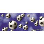 Фотообои Футбольные мячи на голубом фоне 187