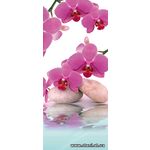 Фотообои Орхидеи отражение в воде 151