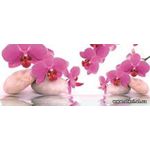 Фотообои Орхидеи отражение в воде 151VEP