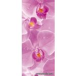 Фотообои Розовые орхидеи 149