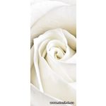 Фотообои Белая роза 8-001