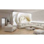 Фотообои Белые розы 8-001 фото 1
