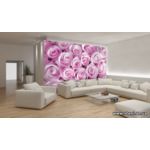 Фотообои Бледно розовые розы 142-1 фото 1
