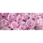 Фотообои Розы нежно розовые 142-3