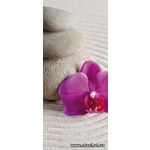 Фотообои Розовая орхидея на камнях 146