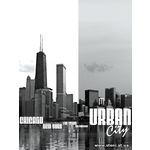 Фотообои Чикаго черно-белые 052-2