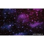 Фотообои Фиолетовые звезды 177-1