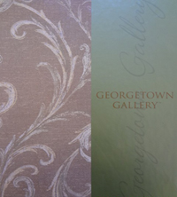 Georgetown Gallery